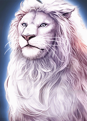 Dolly Casino Expert Review: Insights for Canadian Gamblers